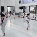선도 키즈 태권도장 이미지