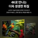 대화면 고화질 TV의 기준. LG QNED 75인치 TV