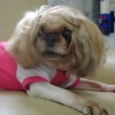 안산약수터 이미지