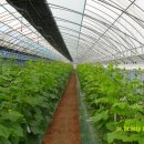 신상인농장 이미지