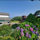 천수만회타운 이미지