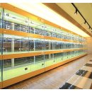 엔젤독스애견 이미지