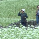 &#34;완연한 가을을 즐겨요&#34;...전국이 가을 나들이객으로 북적 이미지