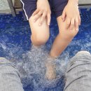 트레비어 이미지