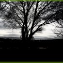 당진펜션 이미지