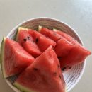 몽쉐리과자점 이미지