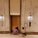 부림태권도장 이미지