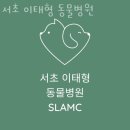 서초 이태형 동물병원 이미지