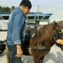 미니마차 이미지