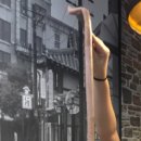 예술의 잔당 이미지