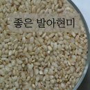 장수양행 이미지