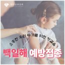경한프라자 | 백일해 성인/임산부 예방접종은 아기 건강을 지키는 가장 확실한 방법, 리나산부인과