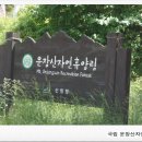 국립운장산자연휴양림 야영장 이미지
