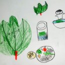 [1-3학년 절기살이] 입하 아흐레: 생강나무 잎을 따러 숲에 갔다. 이미지