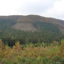 영화마을 이미지