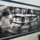 더푸른의원 이미지