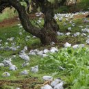 이진철농장 이미지