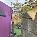 배봉사 | [봉사후기] 파주 운정 유기견 보호소 봉사 후기