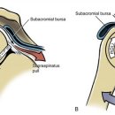 정관제일의원 이미지