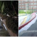 삼호서초등학교 이미지