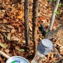 산내들농장 이미지