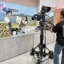 와이제이커머스