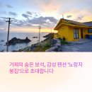 노랑펜션 | 감성 펜션에서 힐링하기, 거제도 노랑지붕집 탐방기 🏖️