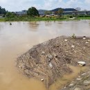 백제문화제 행사장 이미지