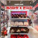 해피 테디 펫 살롱 | 캐리랜드 캐리마켓 신사 몬치치 팝업 스토어 내돈내산 후기