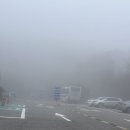 한국교통안전공단 홍성검사소 | [홍성] 한국교통안전공단 홍성자동차검사소