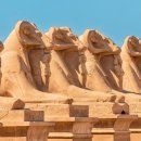 묘한 세계 이미지