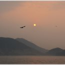 비진도·매물도 Daum카페