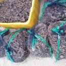 구현농장 이미지