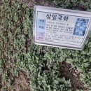 망경스토리 Daum카페