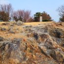 해운대거리 이미지