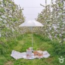 농은농장 이미지