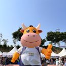 2025 나주 영산포 홍어 한우 축제 후기
