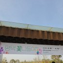 오성축산물 | 아기랑 가기 좋은 곳 | 평택시 농업 생태원 평택꽃나들이 튤립 축제