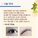 이은영뷰티라인 이미지