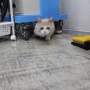 나눔동물병원 이미지