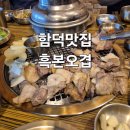 카카오 이미지