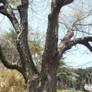 신구경로당 | 대구 팔공산 올레길 5코스