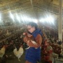 닭사랑농장 이미지