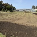 도신농장 이미지