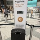 더위즈(The WlZ) | 25.12 동유럽 여행- 부다페스트 공항 노숙, 위즈에어 타고 부다페스트에서 이스탄불로