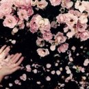 나비한의원 이미지