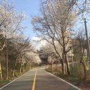 북일면사무소 이미지