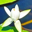 낙동강관리본부 맥도생태공원 4 이미지