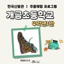 2024.11.5 개금초등학교 4학년1반 주중체험 프로그램 행사_후기