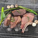 프라이빗 캠프닉 이미지